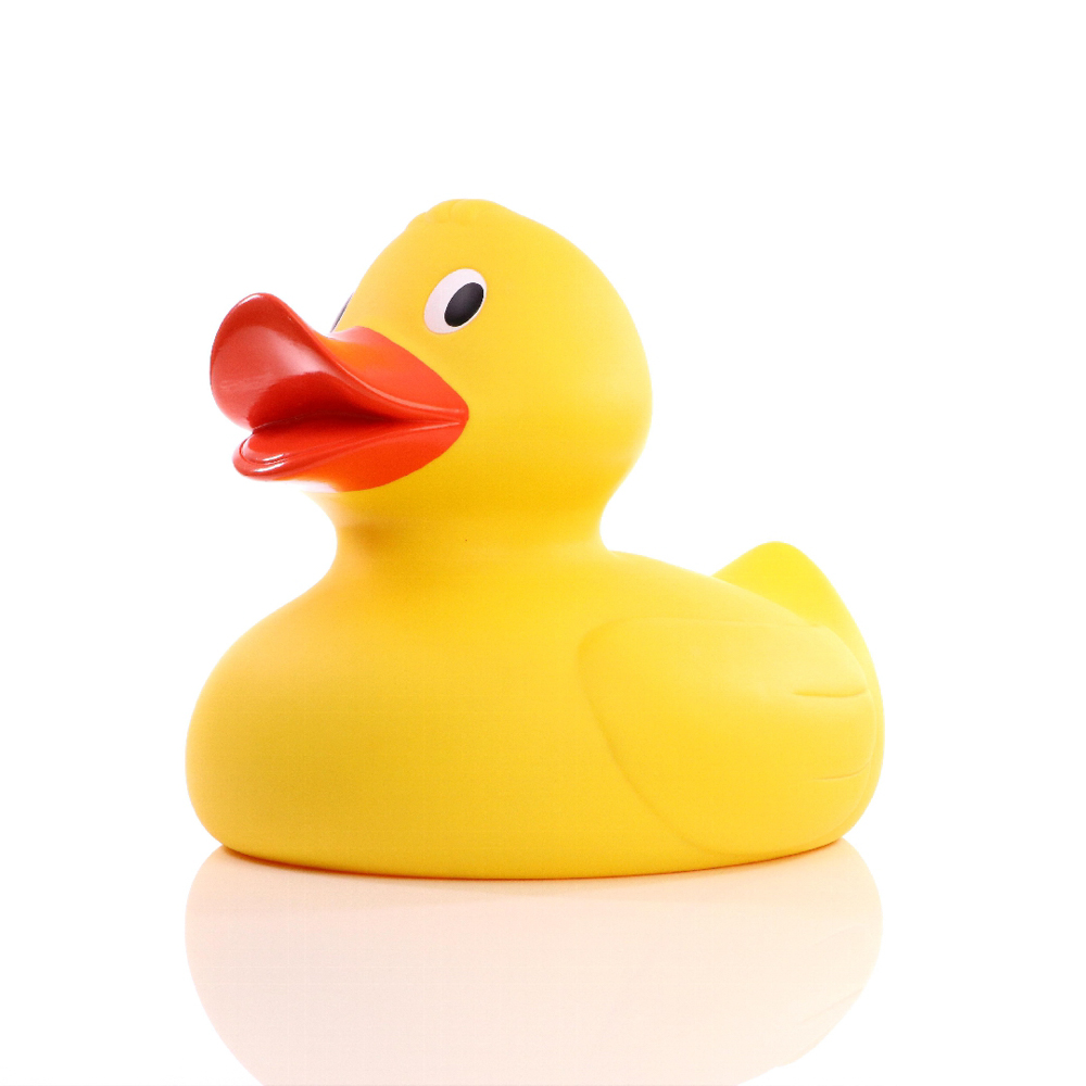 Jumbo Duck 19