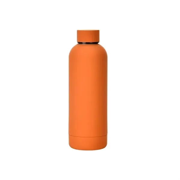 Stainless Steel Water Bottle 16 oz Capacity 2