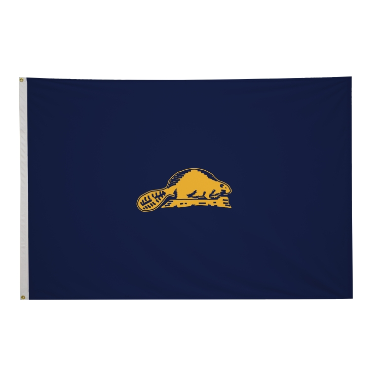 4' x 6' State Flags 45
