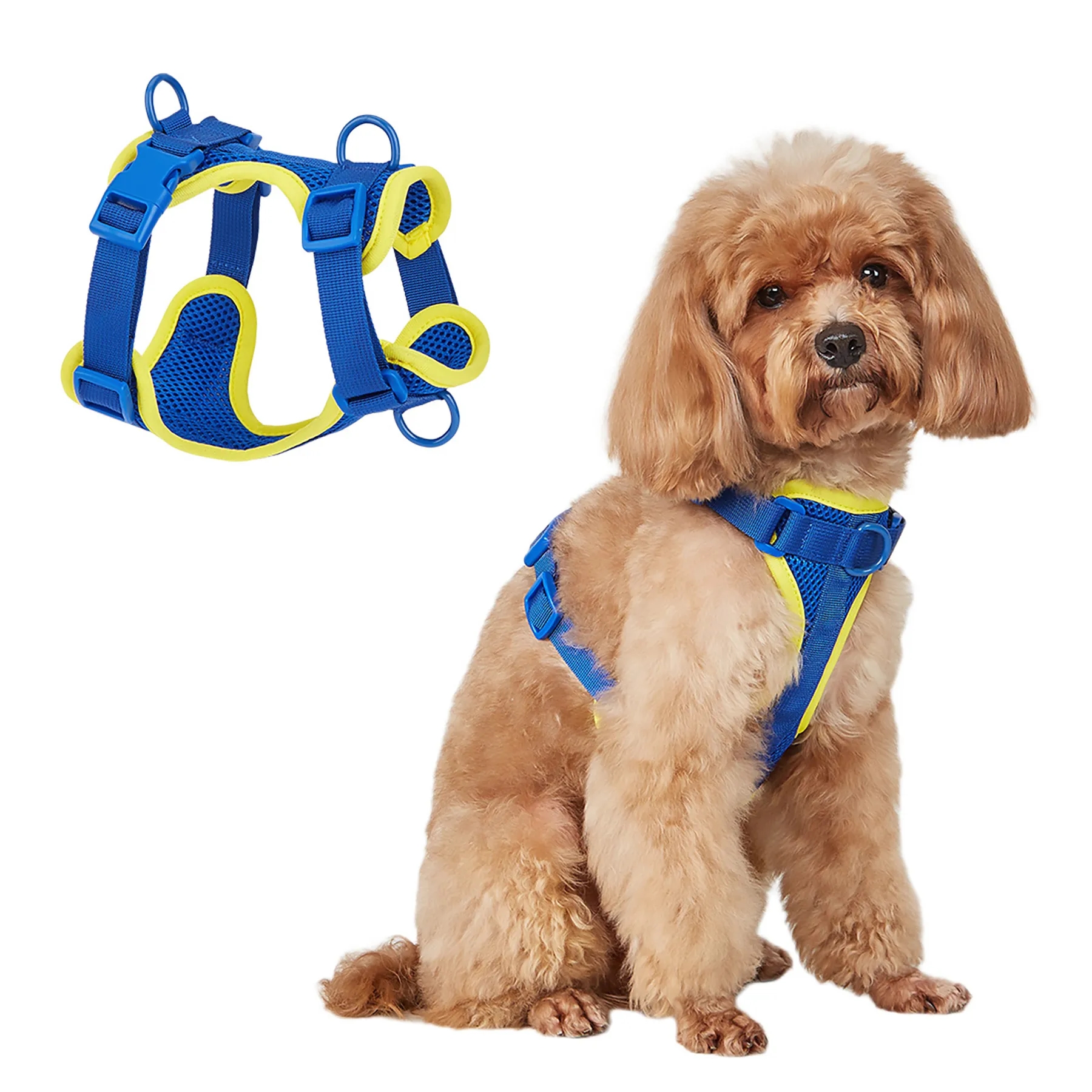 Polyester Small Dog Pet Harness With Leash 12