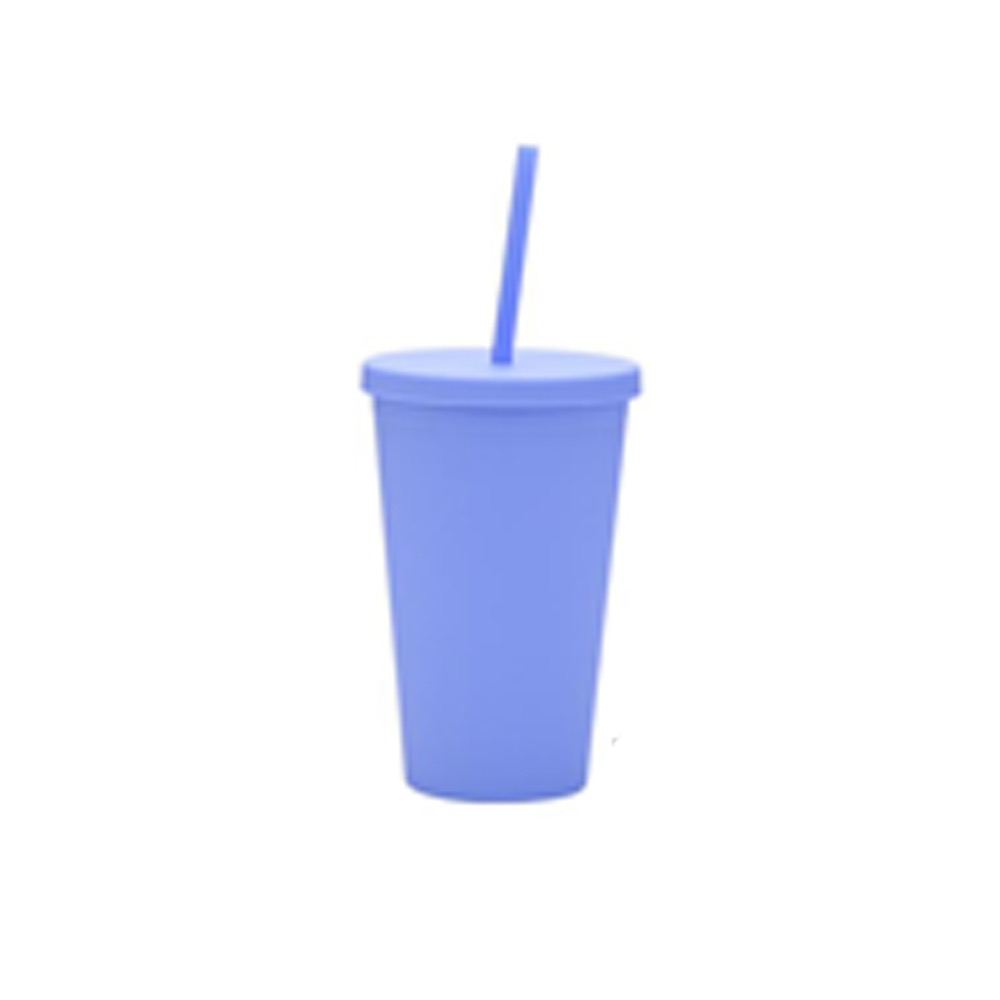 Double-Layer Plastic Straw Cup 7