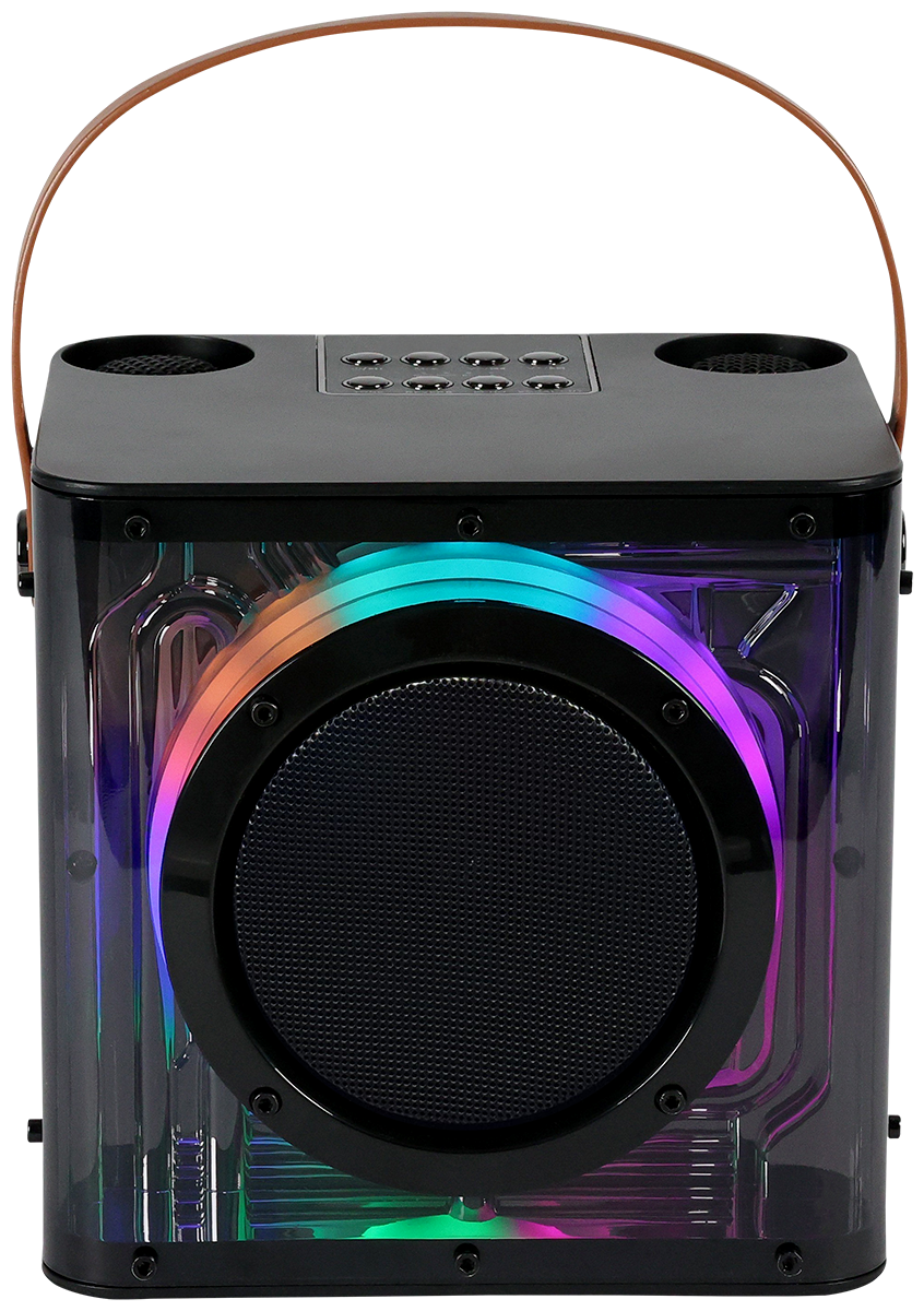 15W Karaoke Wireless Speaker with 2 Mics 1