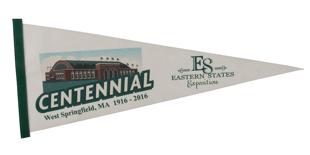12" x 30" Premium Felt Pennant 9
