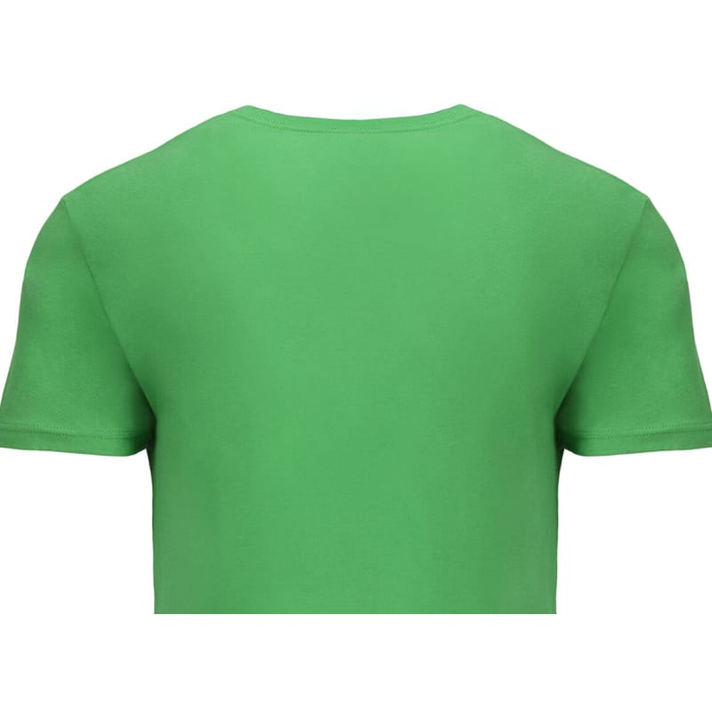 Next Level Apparel Men's Cotton V 10