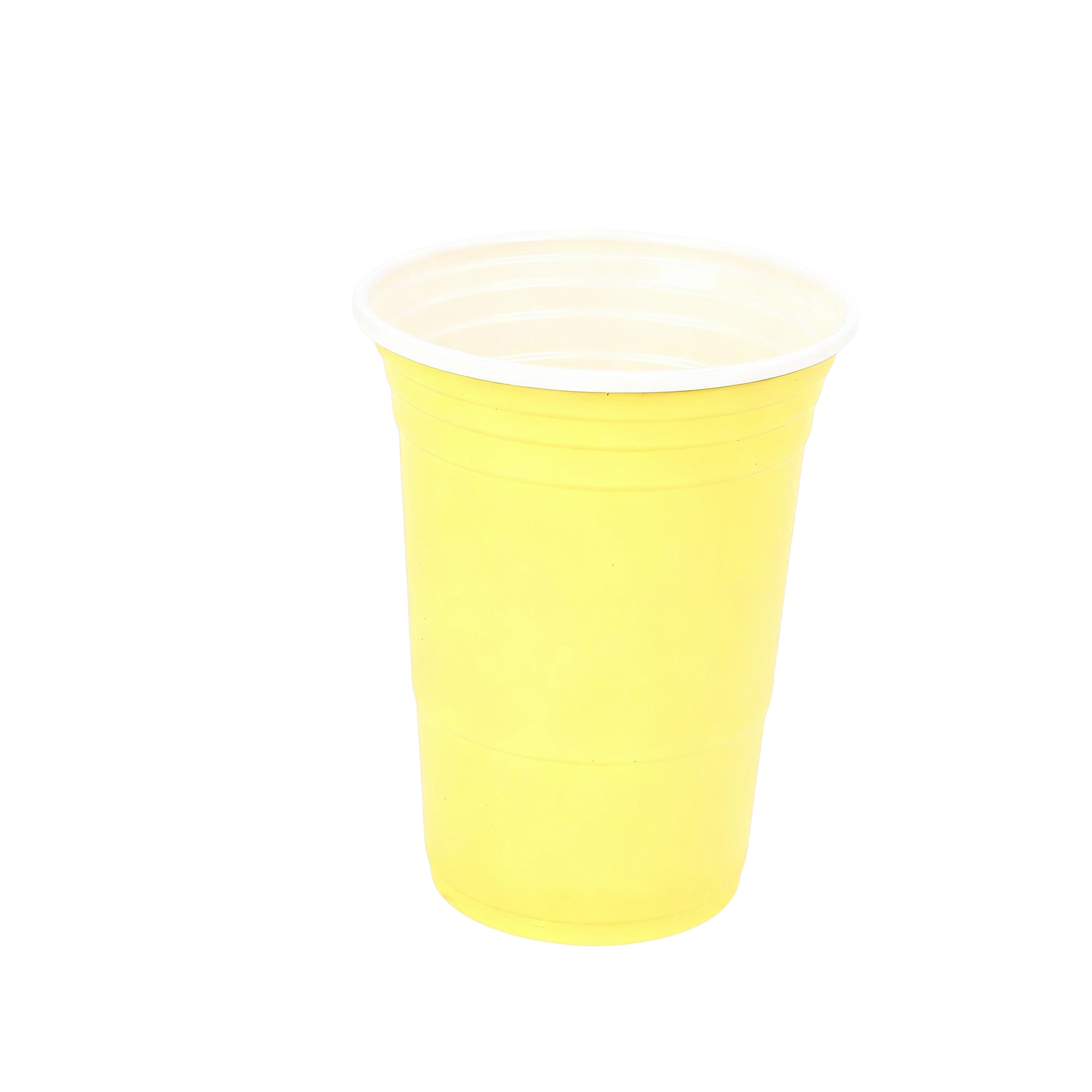 Reusable Sixteen Ounce Beer Pong Plastic Cup 14
