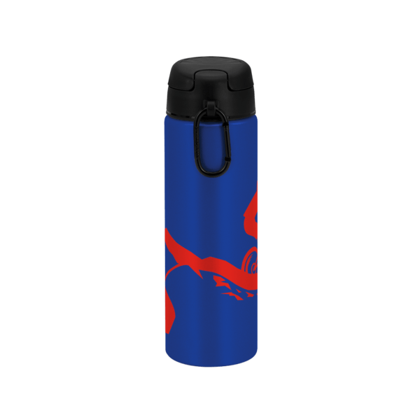 FastFlow Recycled Aluminum Bottle with Flip Lid, custom water bottle with logo imprint 70