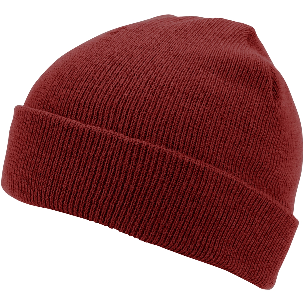 Polar Cuff Beanie 1