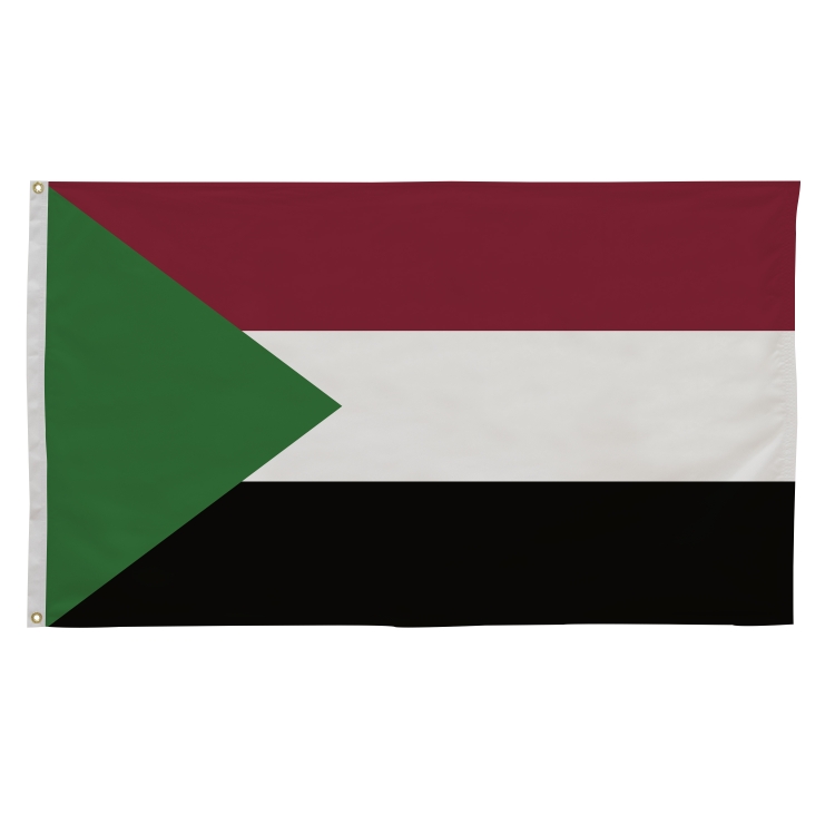 3' x 5' International Flags 120