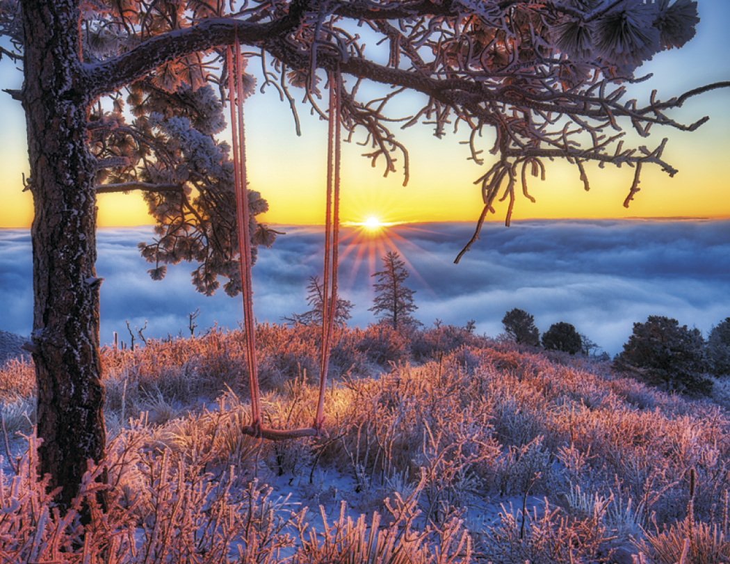 Triumph® Calendars Sunrise Sunset Calendar 38