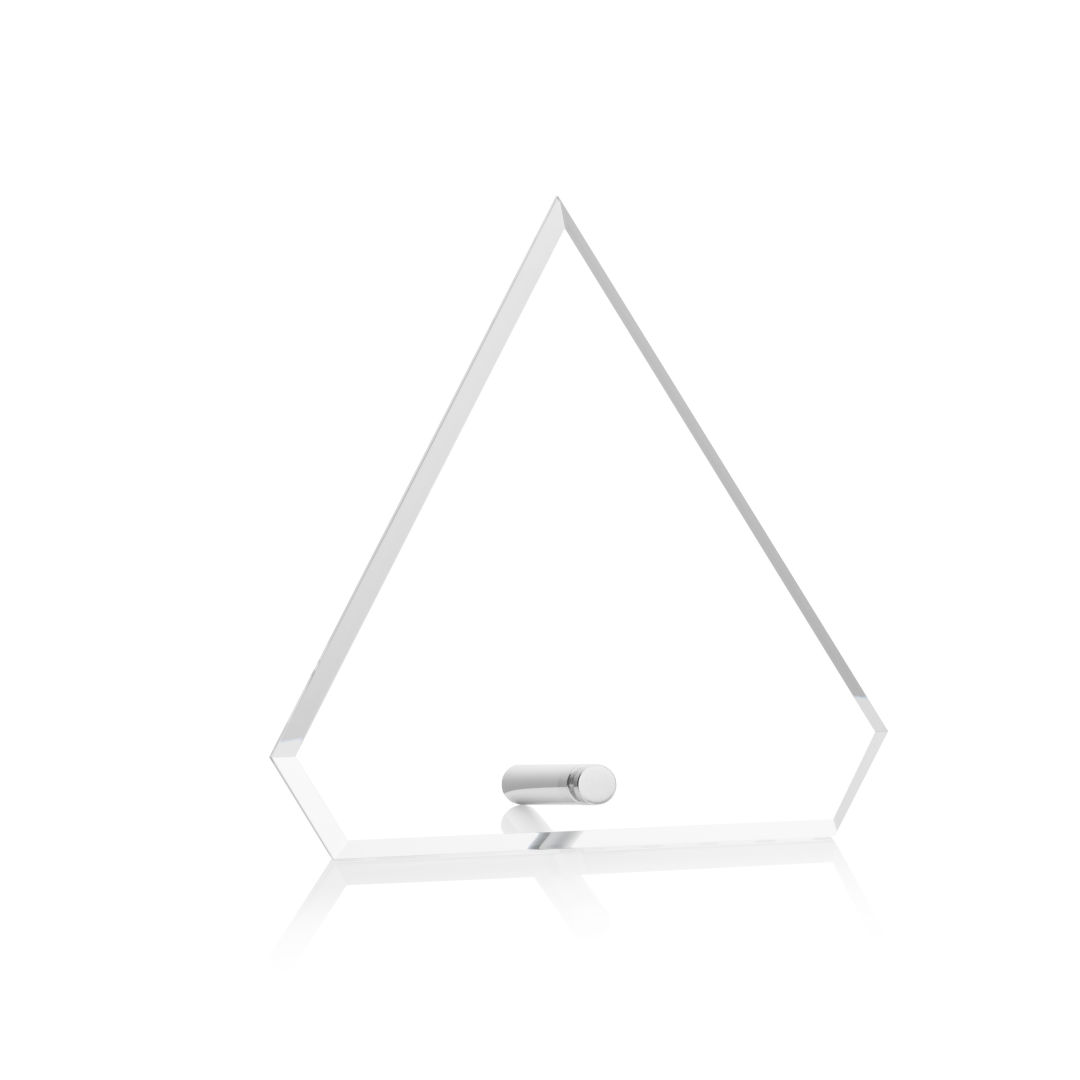 Polaris Diamond Award - Silver 6