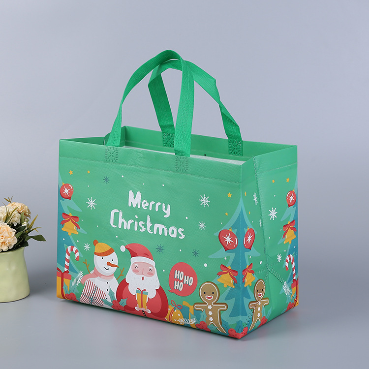 Multifunctional Non-Woven Christmas Bags 11
