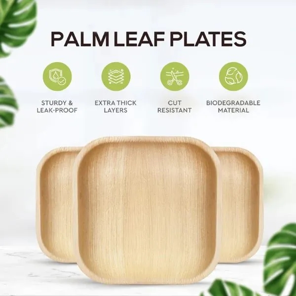 Wholesale Eco-Friendly Palm Leaf Plates 3