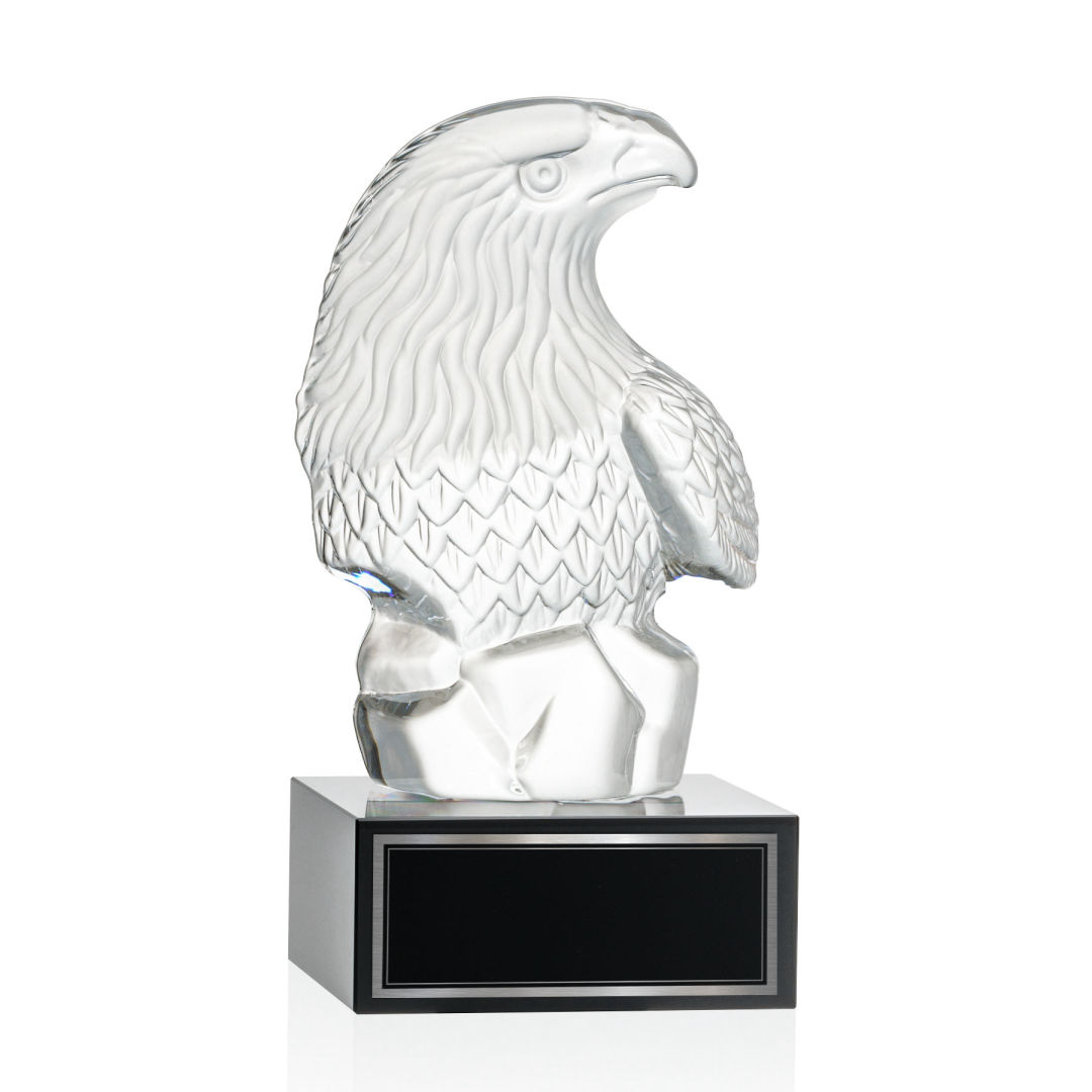 Fredricton Eagle Award on Hancock 18