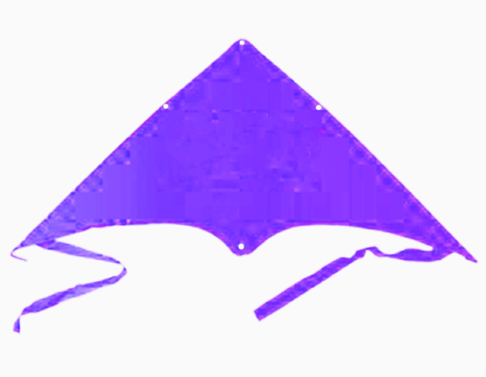 Delta Jumbo Kite 2