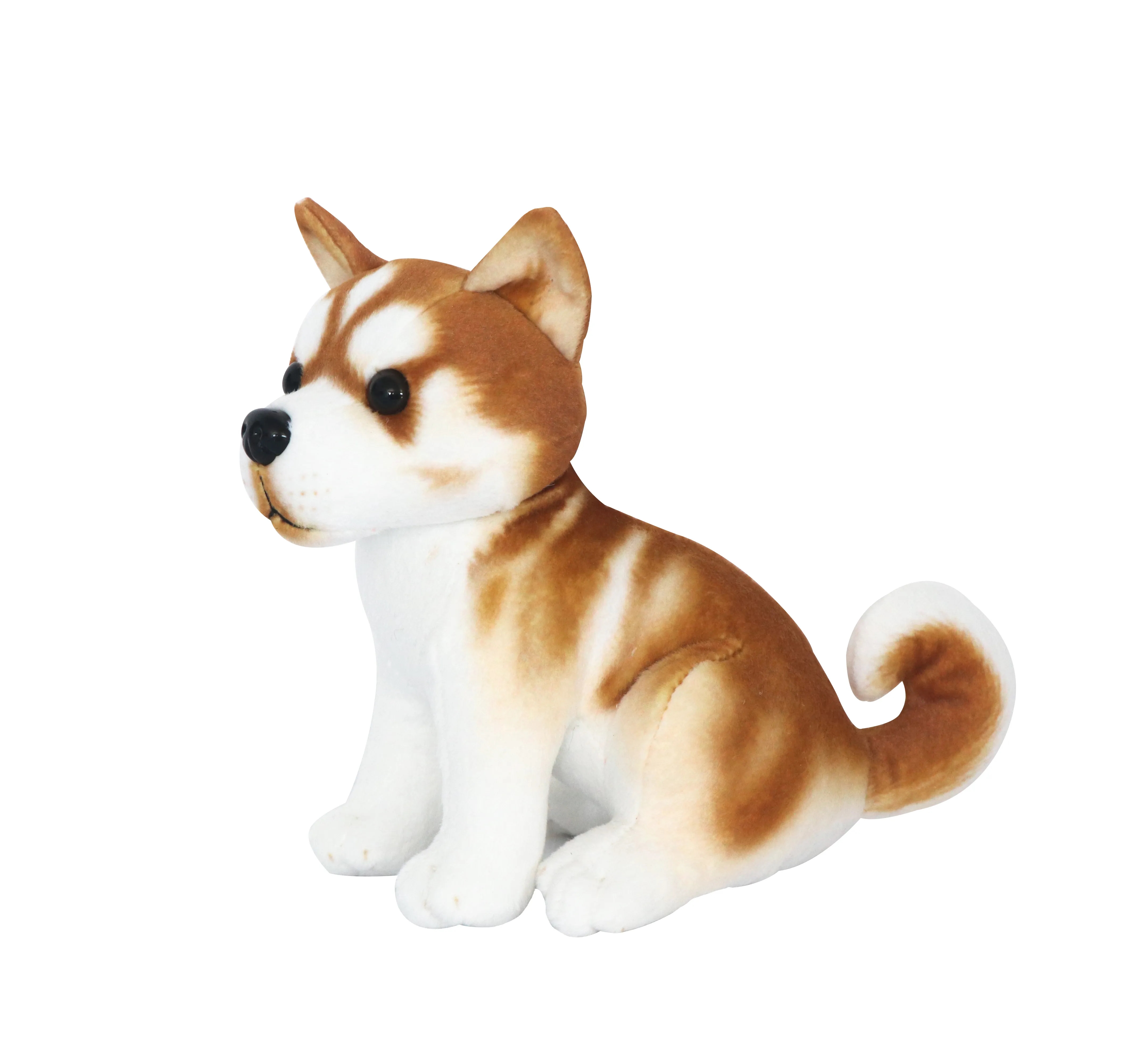 Standing Small Akita Dog 3
