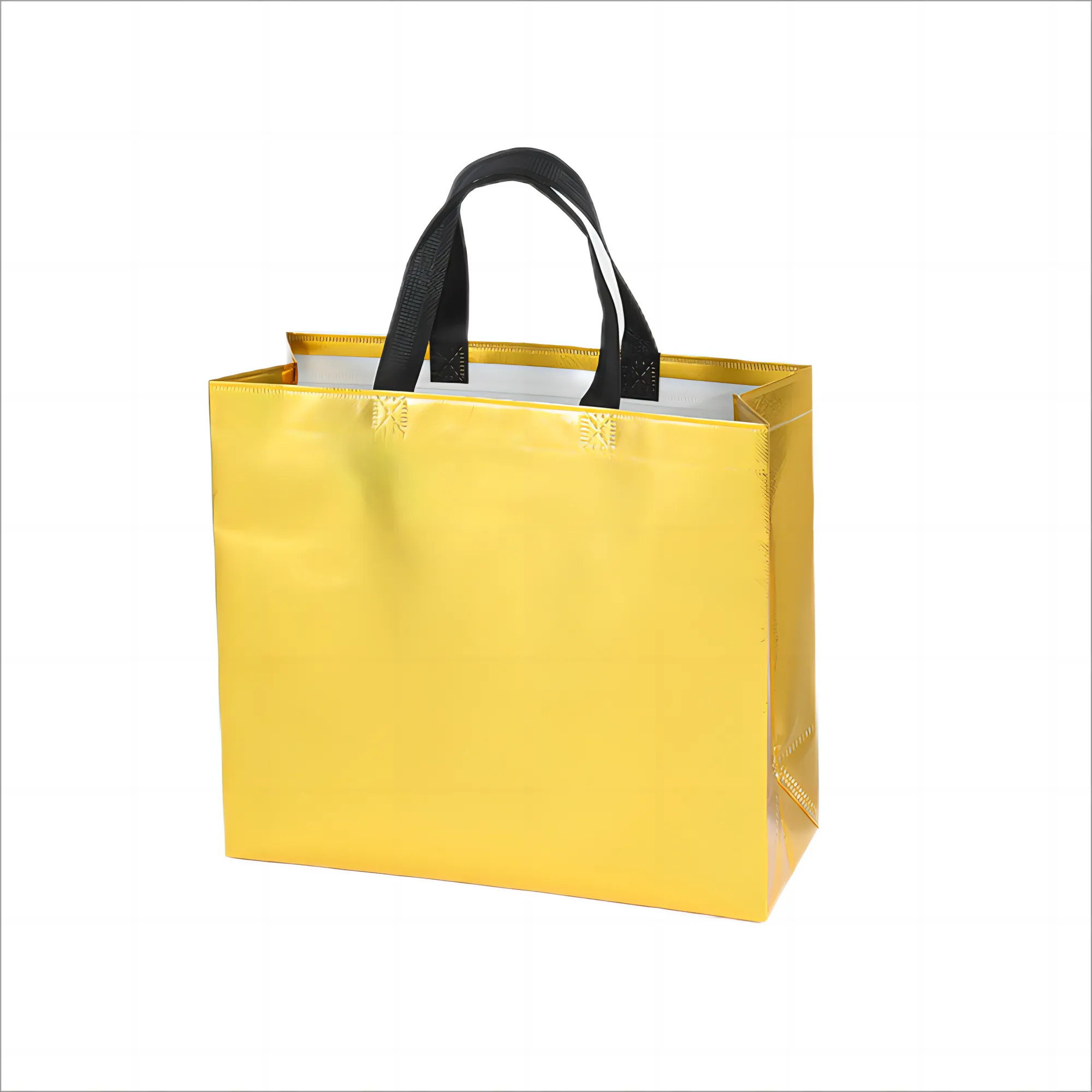 Non Woven Bag 5