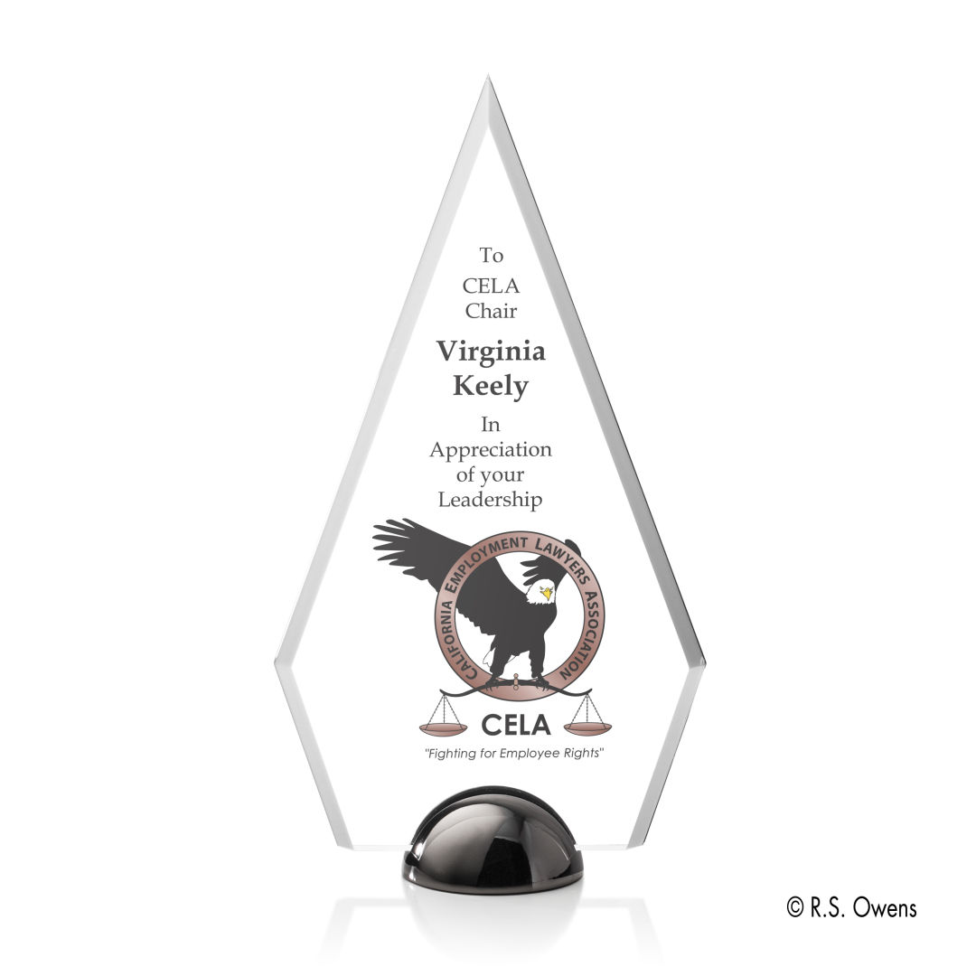 Apex Hemisphere VividPrint™ Award 3