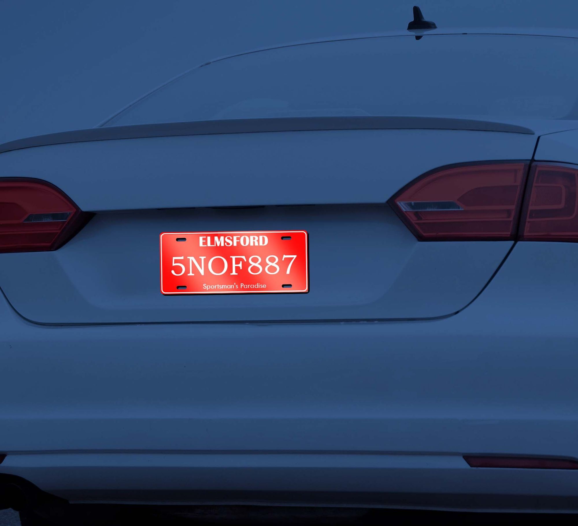 Reflective Custom License Plates 6