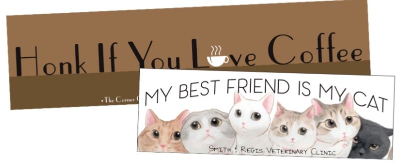 Bumper Sticker (2"x6") 1