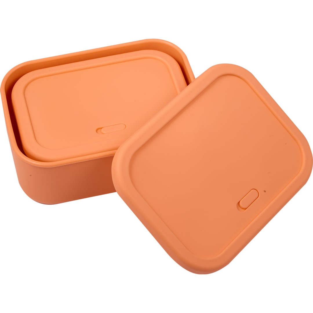 Silicone Food Storage Box with Air Valve - Set of 40