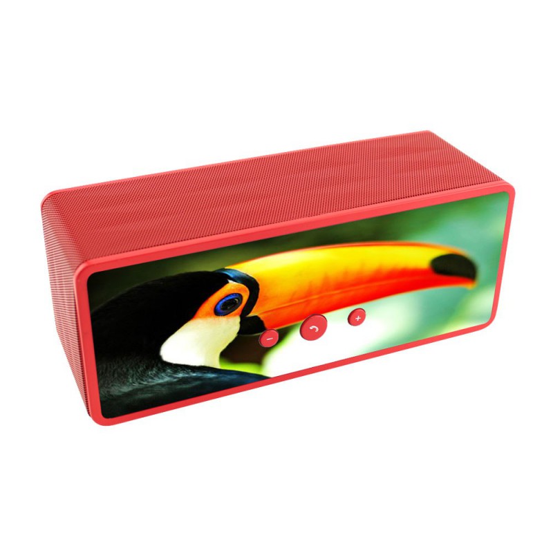 Toucan Wireless Speaker 5
