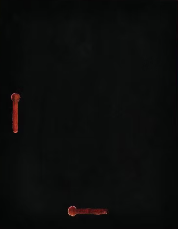 Double Plate Lasered Plaque-Piano Rosewood 1