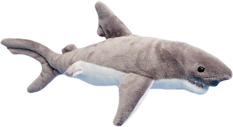 Smiley Shark 1