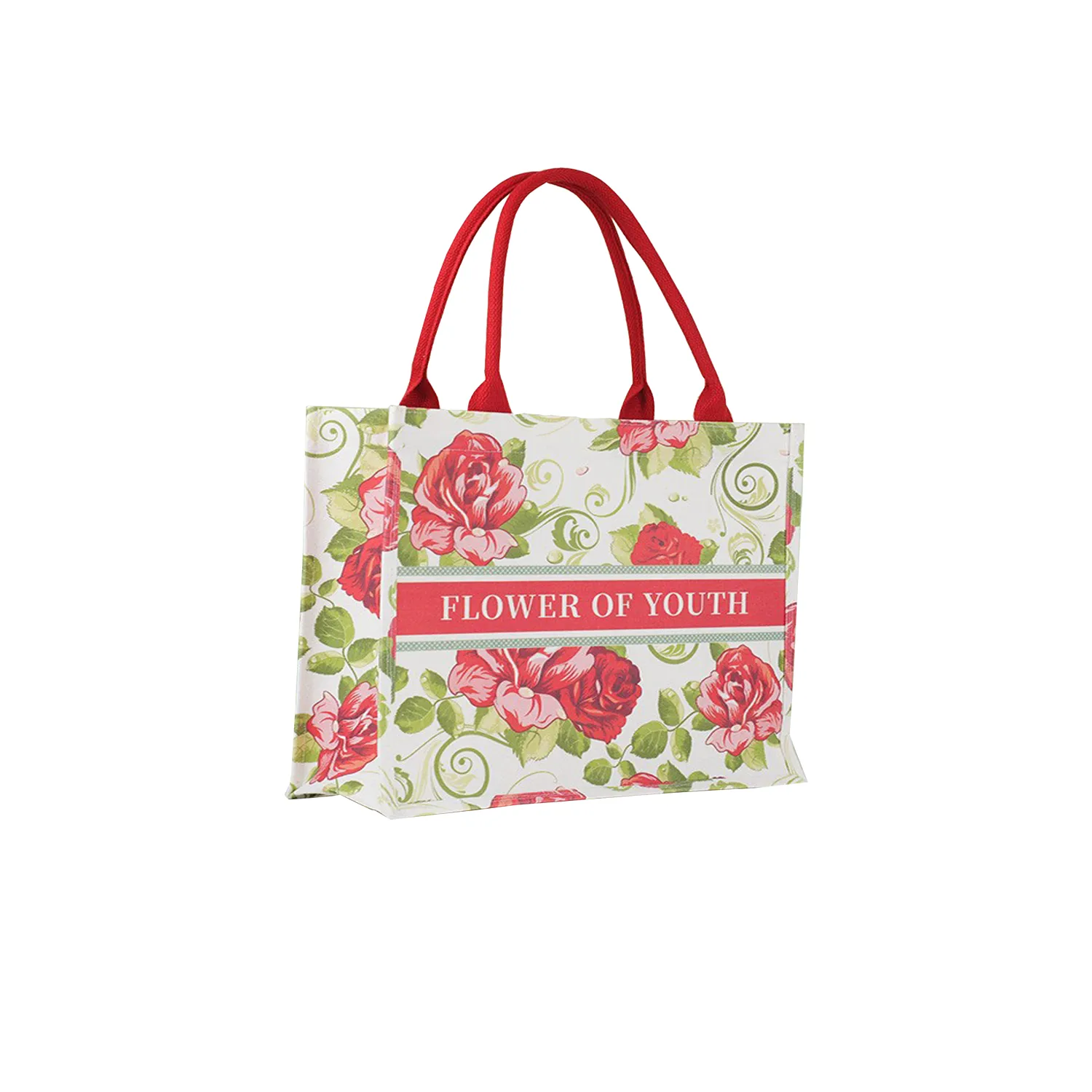 Reusable Grocery Canvas Shopping Bags 7
