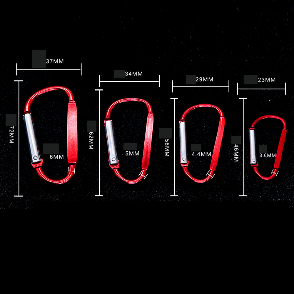 Carabiner Key Chain 3