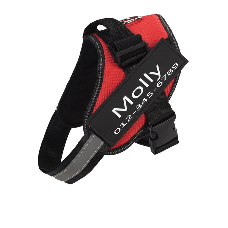Dog Harness 1