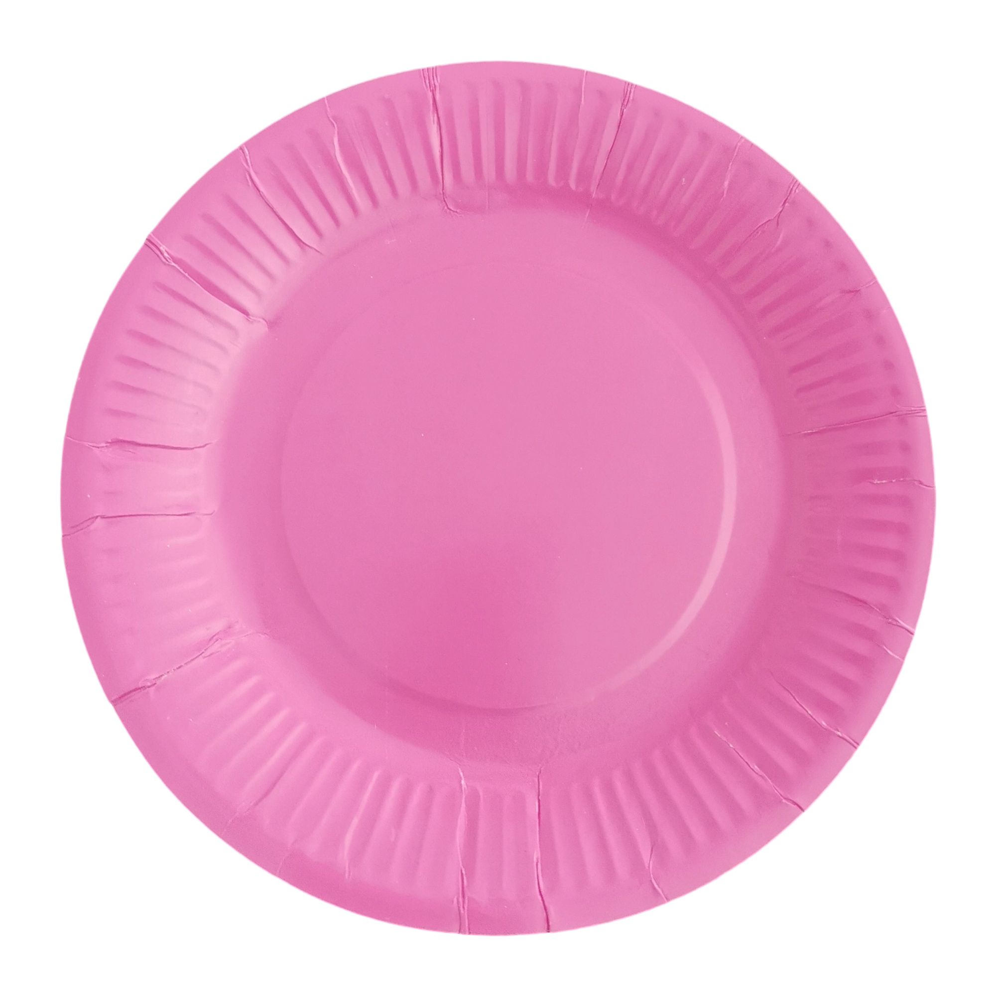 Nine Inch Party Paper Plate Food Safe Disposable 1