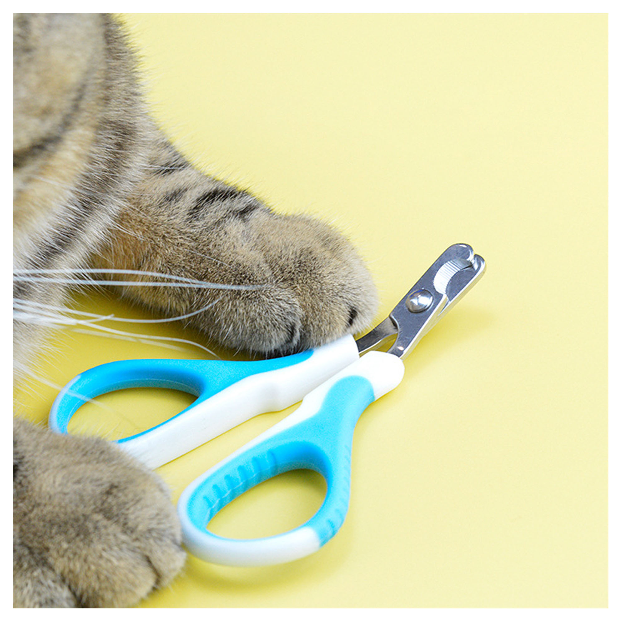 Plastic Ergonomic Pet Nail Clippers For Precise Grooming 2