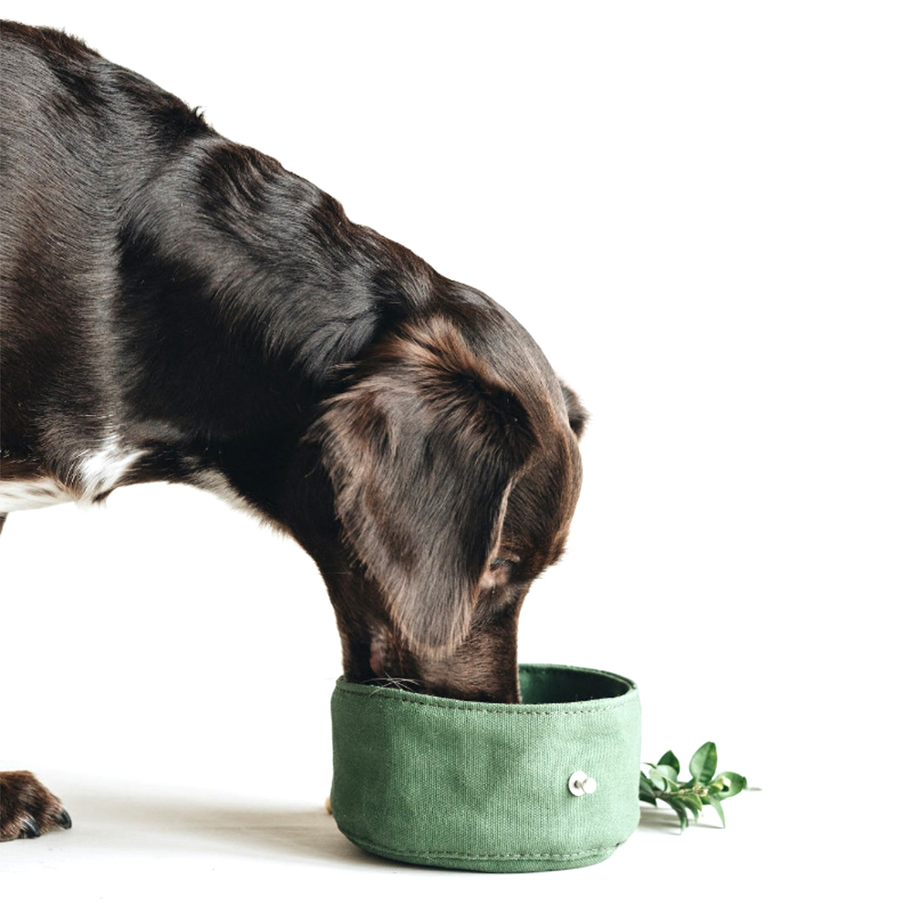 Collapsible Portable Travel Dog Bowls for Food and Water 3