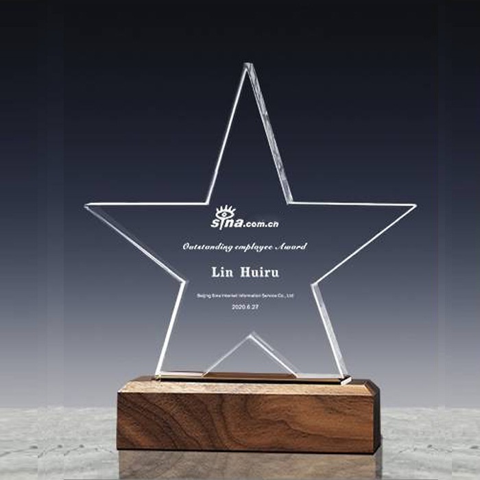 Crystal Star Wood Award 6