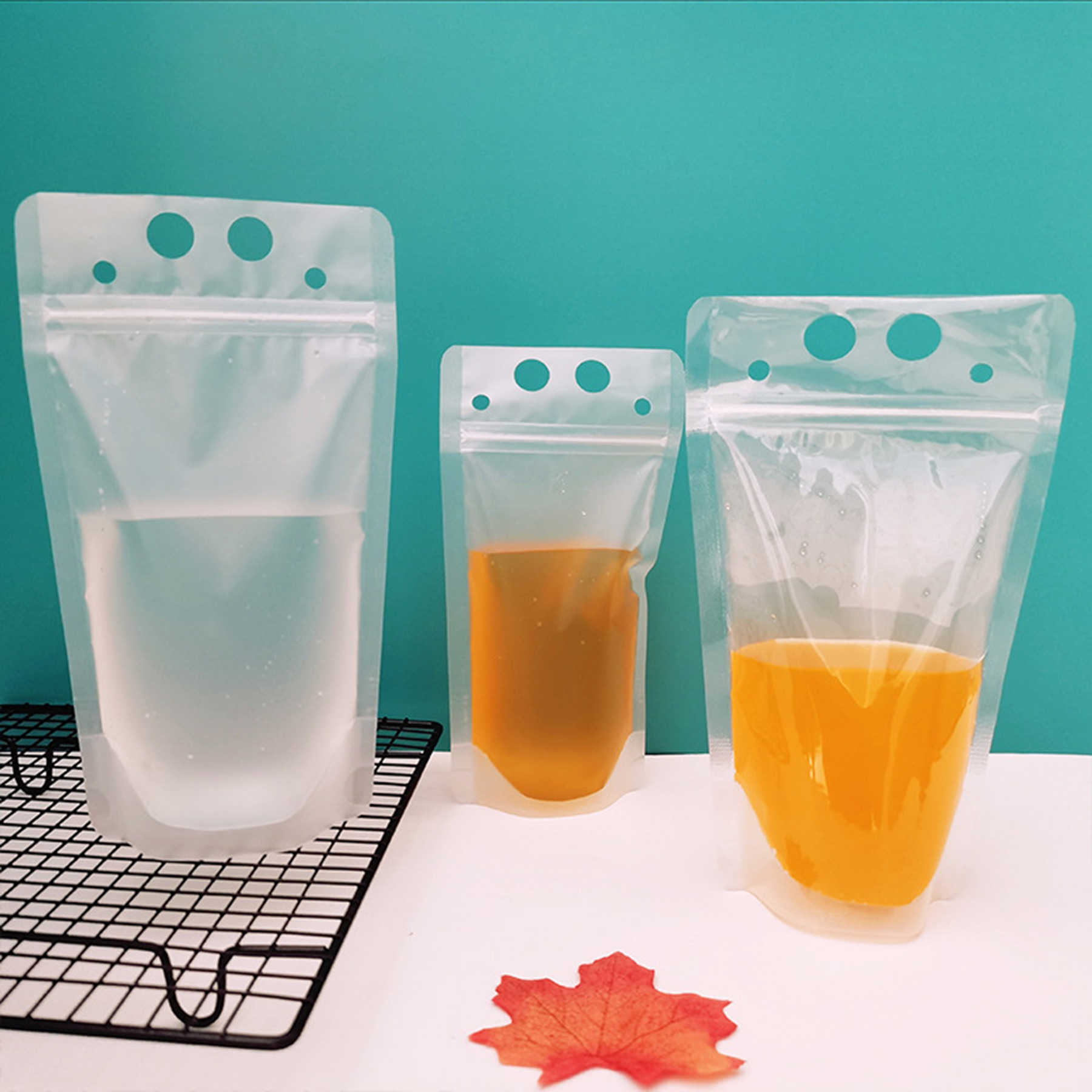 Translucent Plastic Pouch Bag 3
