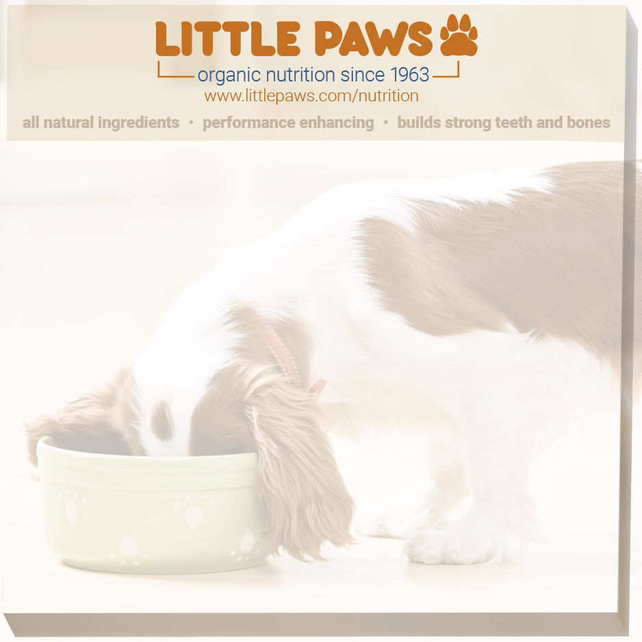 Souvenir® Sticky Note™ 3" x 3" Pad, 50 sheet 12