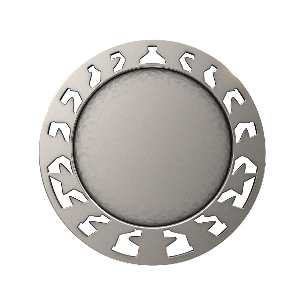 Swimming Star Medallion (2-1/2") 5