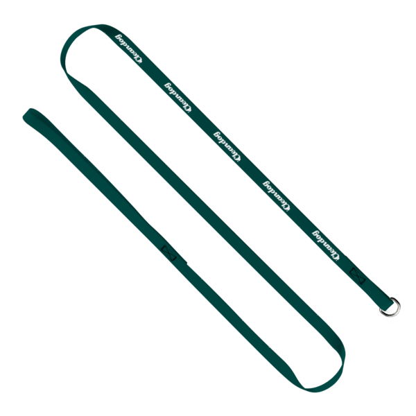 1/2" x 60" Smooth Nylon Pet Slip Leash