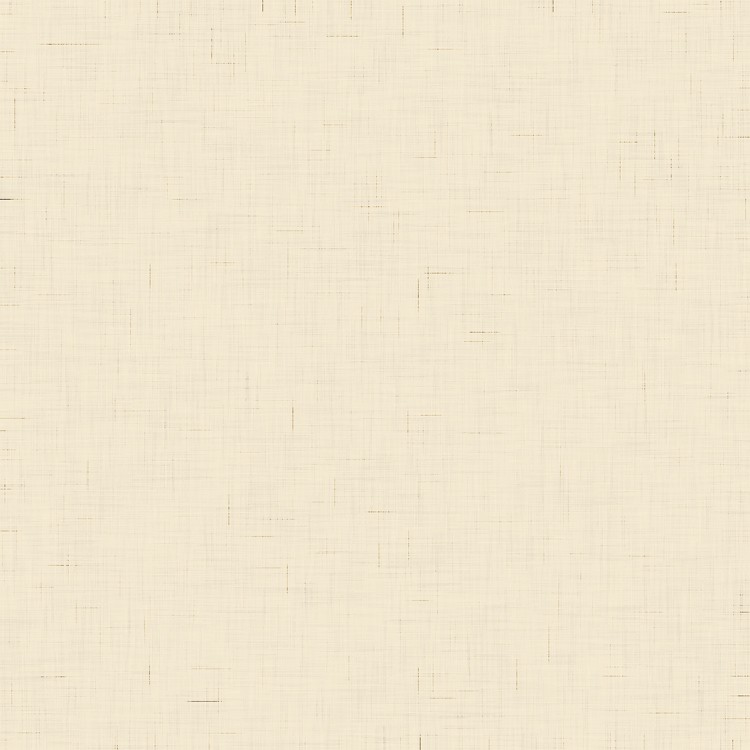 24-hr Quick Ship Plain Economy Folders 6