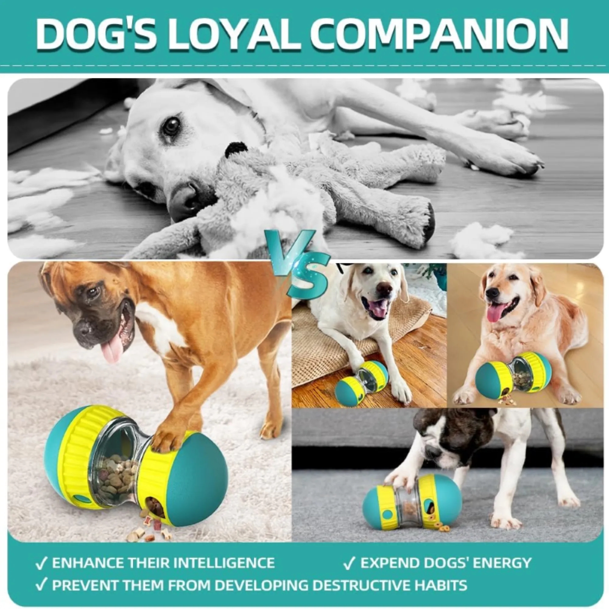 Pet Training Toy Rolling Feeder Free Shipping 5