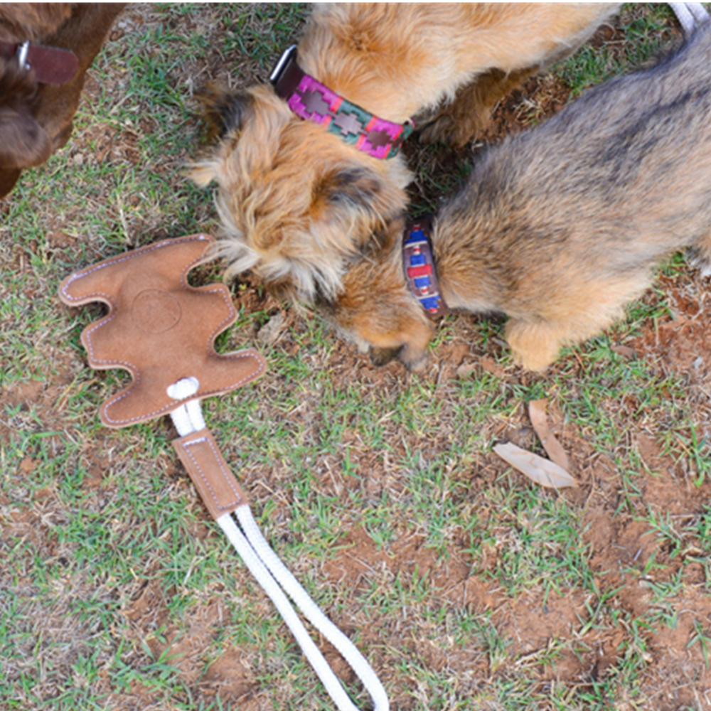 Pull And Tug Dog Bone Shape Toy 5