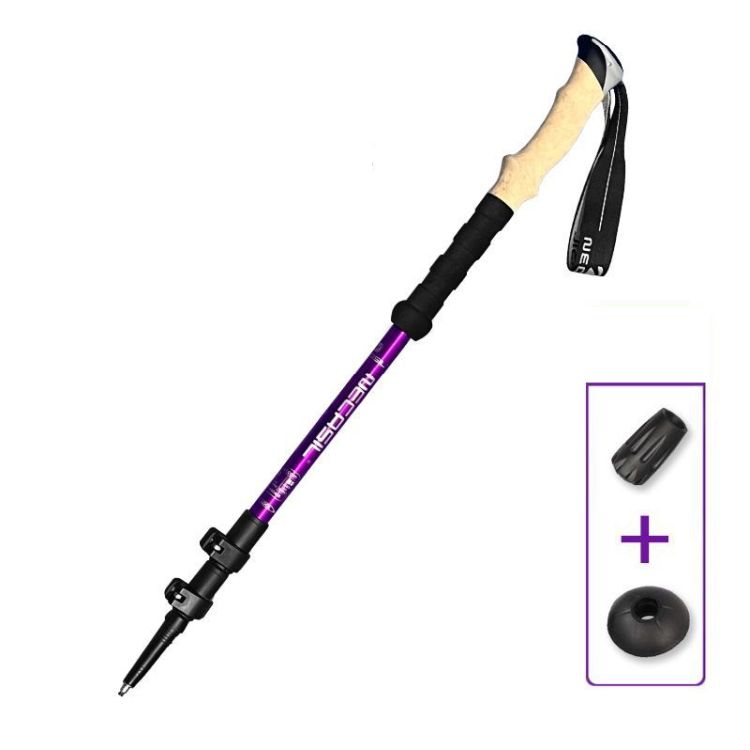 Trekking Pole 10
