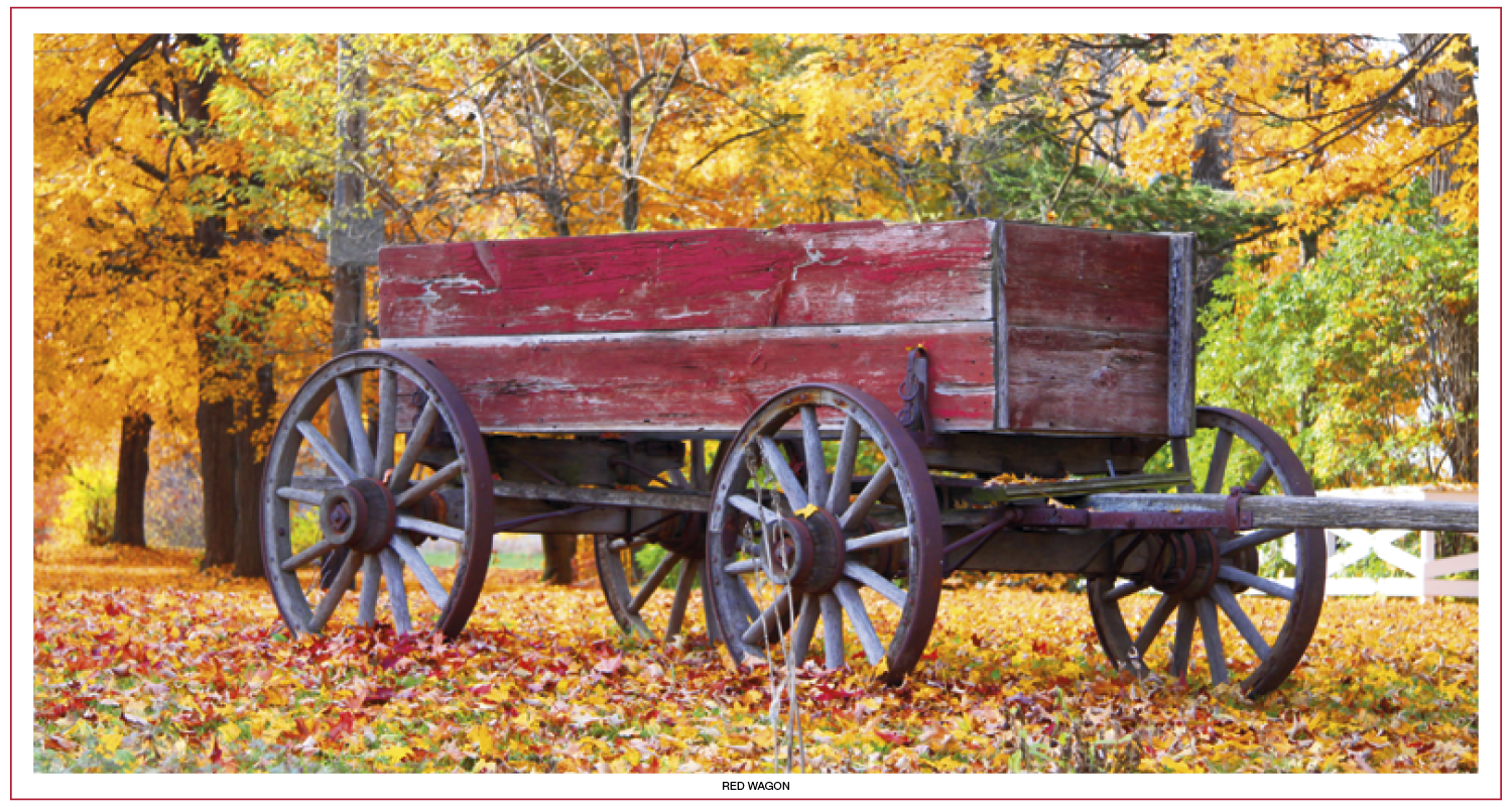 Skinner & Kennedy® Large Everyday Farm Memo 127