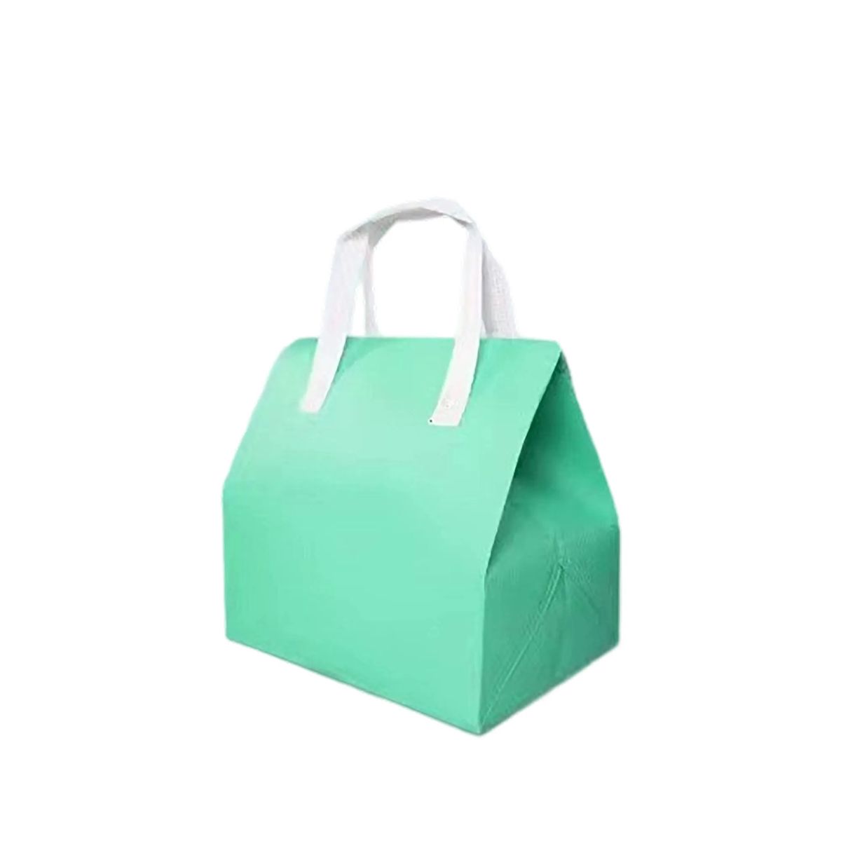 Laminated Cooler Tote Bag with Waterproof Design 11