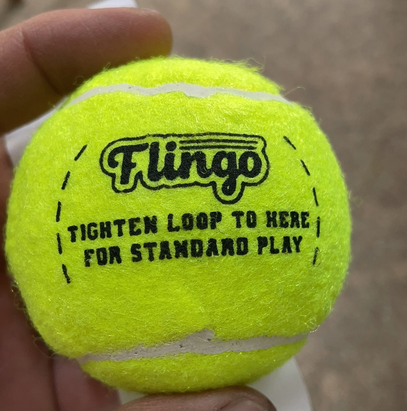 Iridescent Pet Toy Squeaky Tennis Ball 3