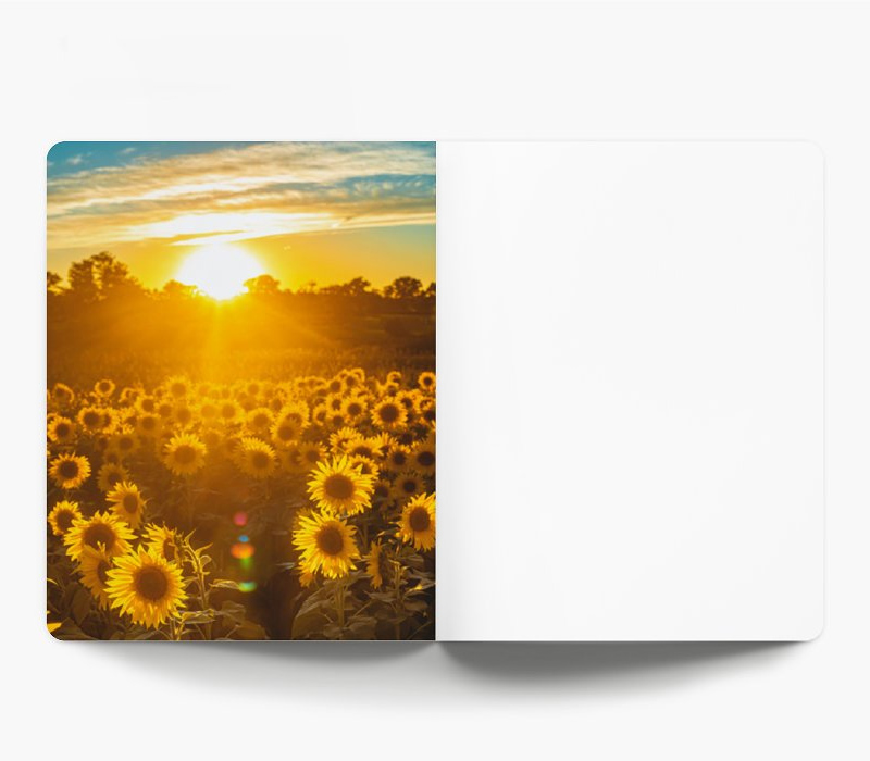 Softcover Notebook with Soft Touch Lamination - Medium 6