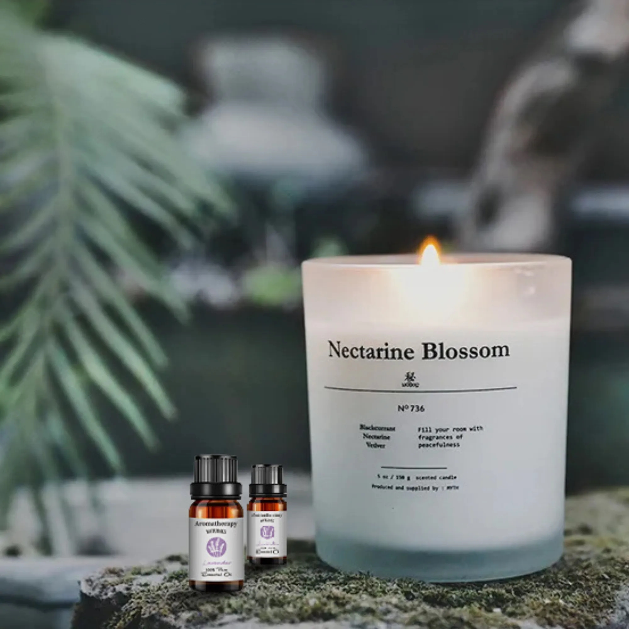 Essential Oil Kit, 10ml Pure, Aromatherapy Gift 2