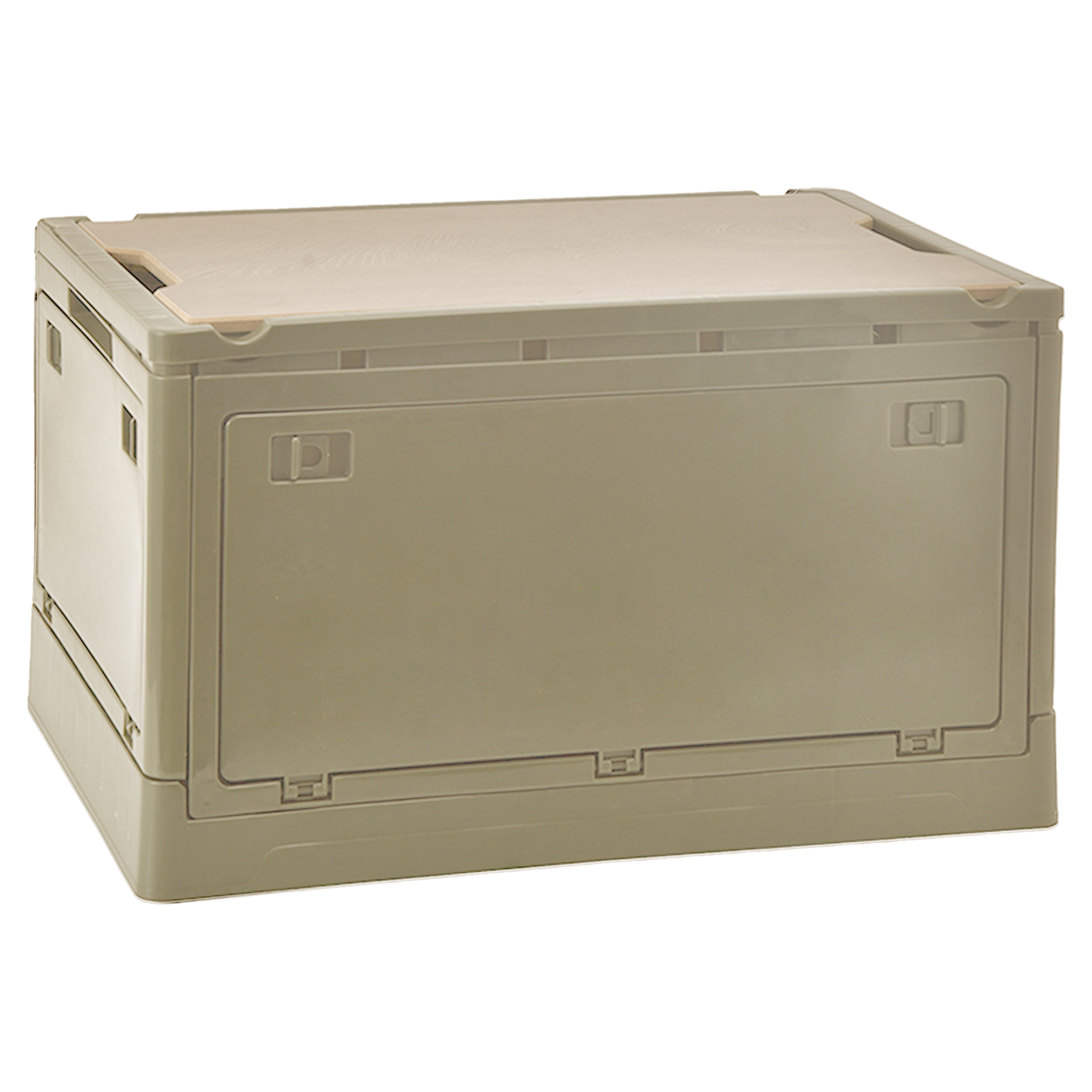Plastic Trunk Storage Box 2