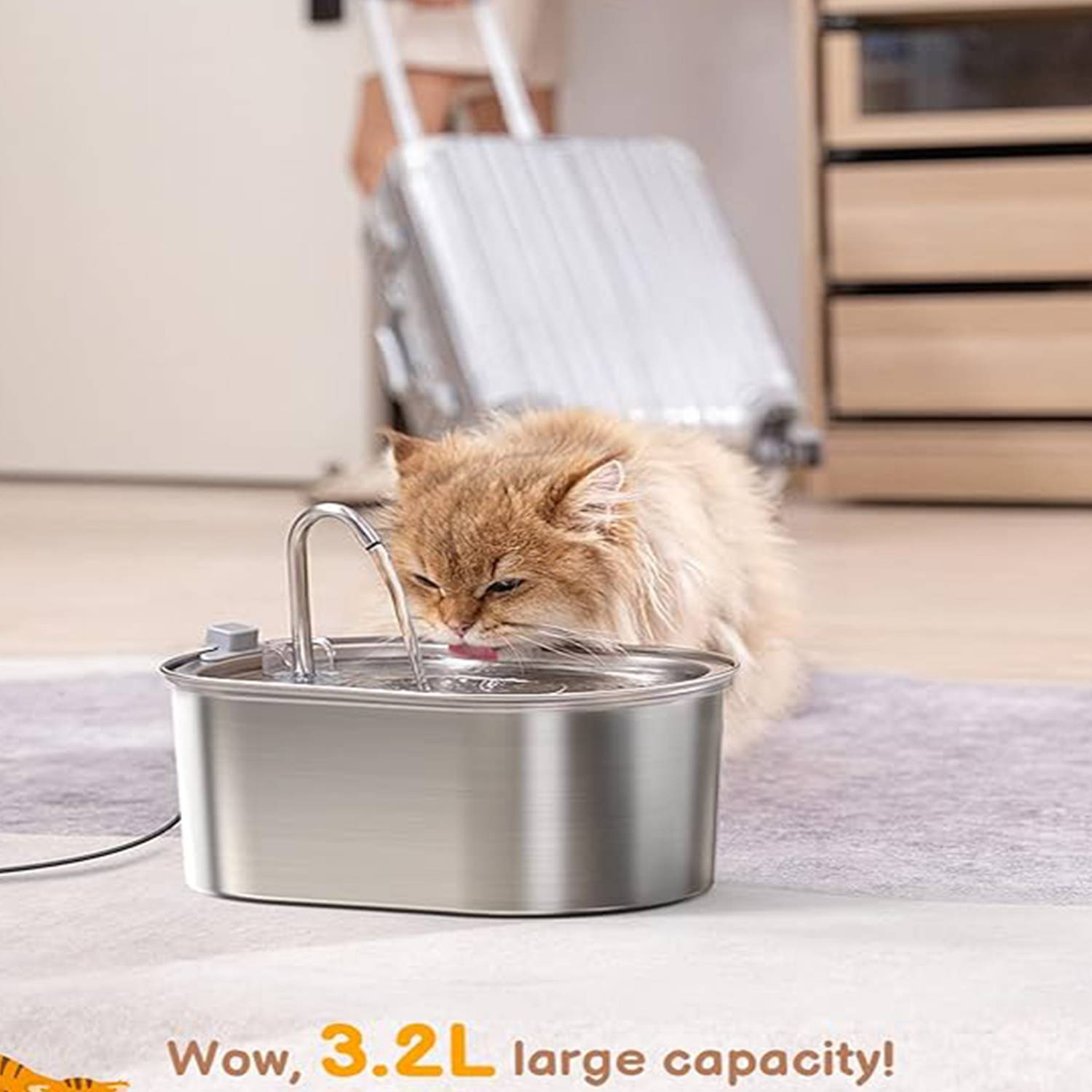Stainless Steel Cat Water Fountain with Levels Window 1
