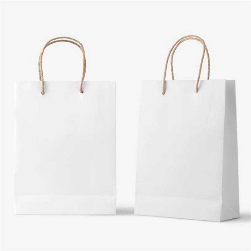 Paper Bag with Handle Bulk 7